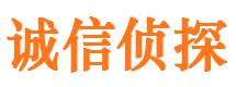 江山私家调查公司